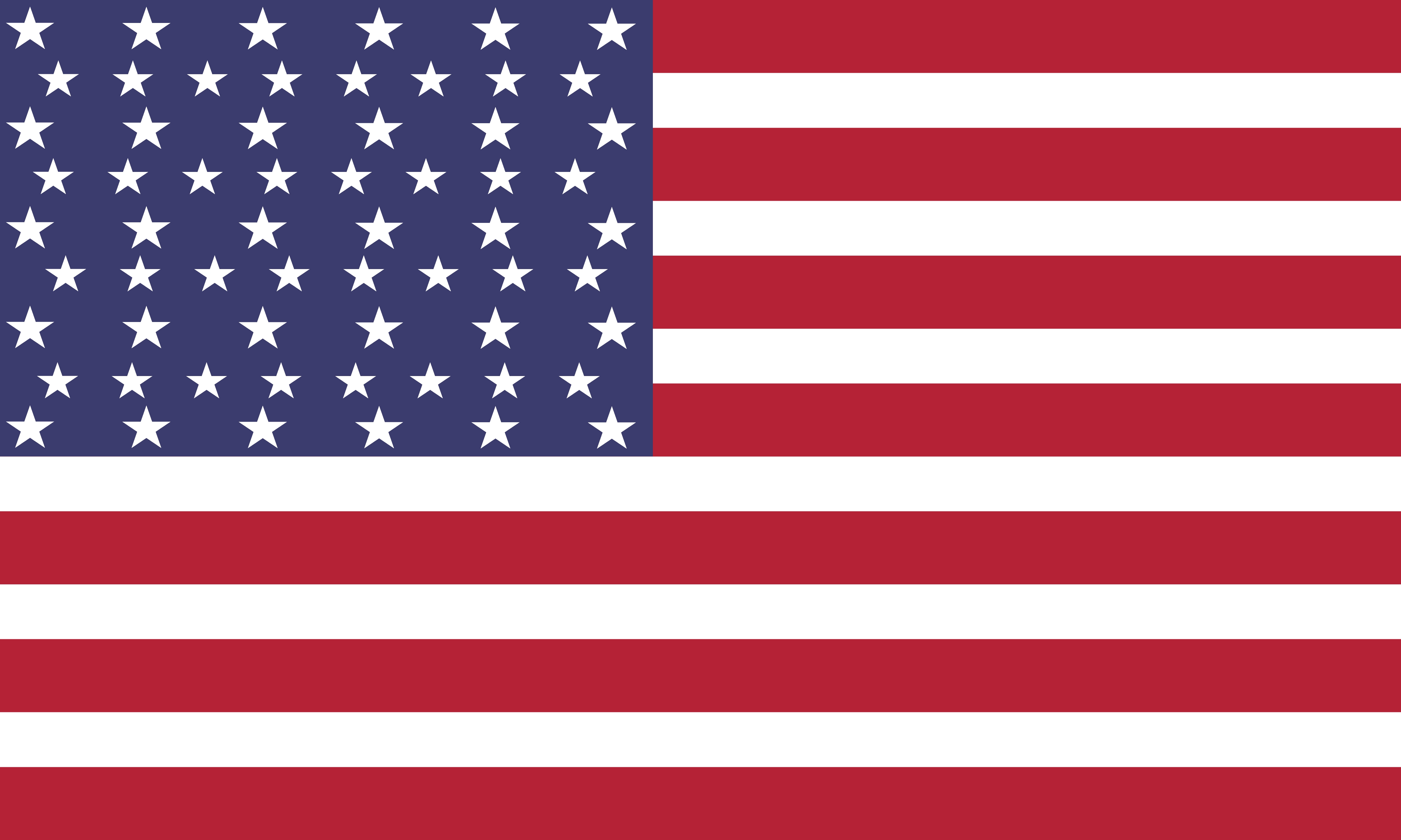 United States flag for the Chicago branch